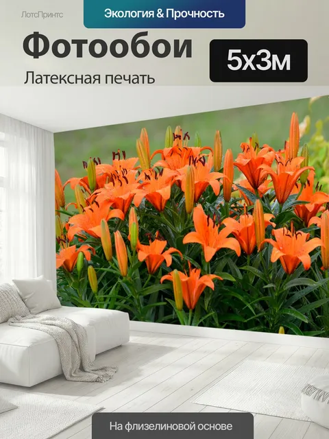 500 × 300 см · Латексная печать