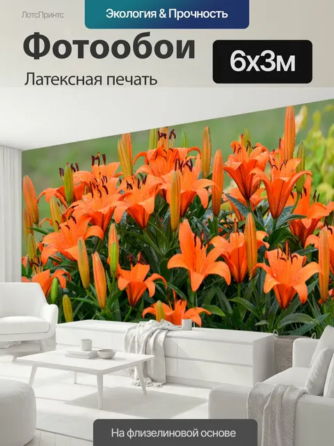 600 × 300 см · Латексная печать