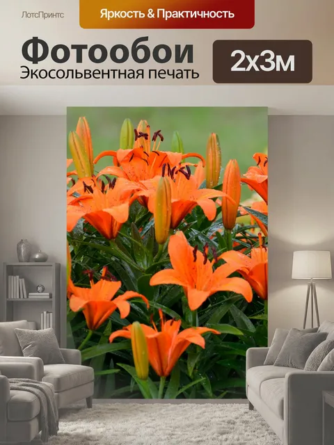 200 × 300 см · Экосольвентная печать