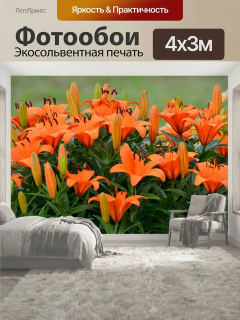 400 × 300 см · Экосольвентная печать