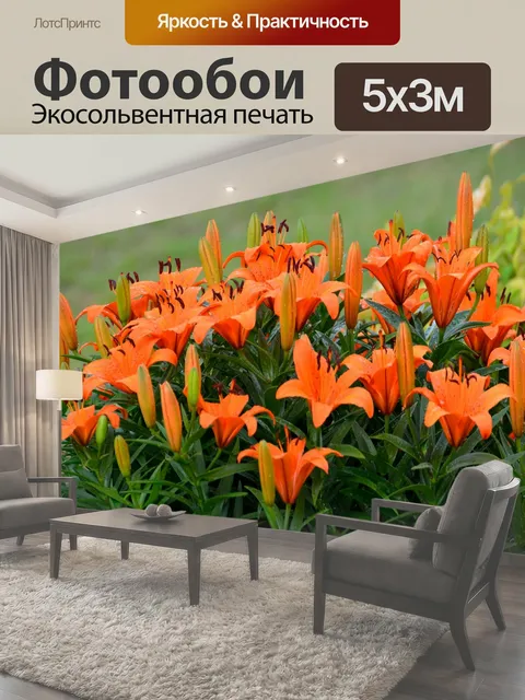 500 × 300 см · Экосольвентная печать