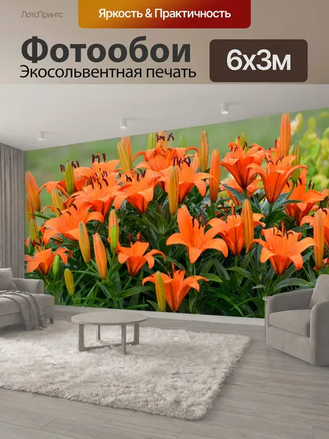 600 × 300 см · Экосольвентная печать