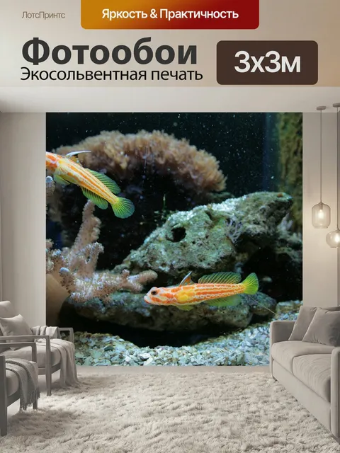 Фотообои Морской рыбы, аквариумные рыбки, аквариум