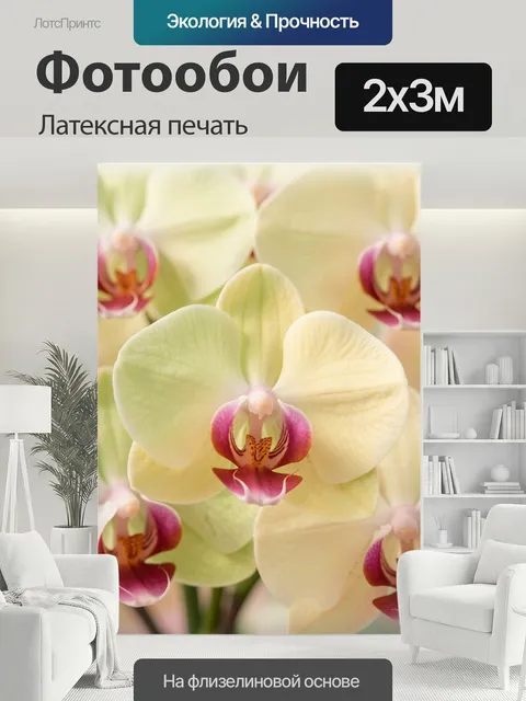 200 × 300 см · Латексная печать