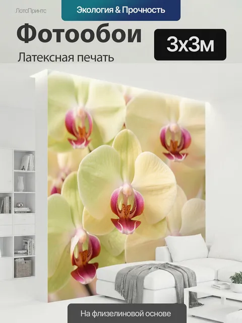 300 × 300 см · Латексная печать