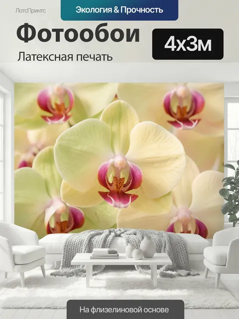 400 × 300 см · Латексная печать