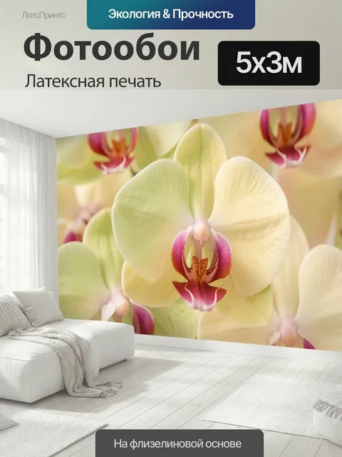 500 × 300 см · Латексная печать