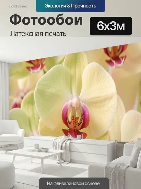 600 × 300 см · Латексная печать