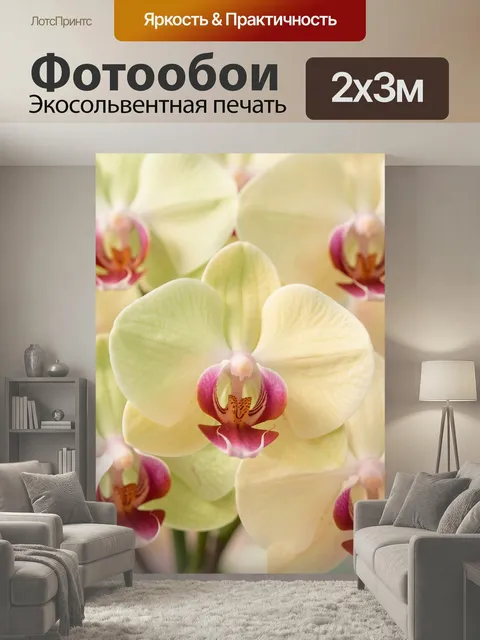 200 × 300 см · Экосольвентная печать