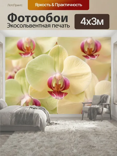 400 × 300 см · Экосольвентная печать