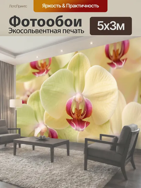 500 × 300 см · Экосольвентная печать