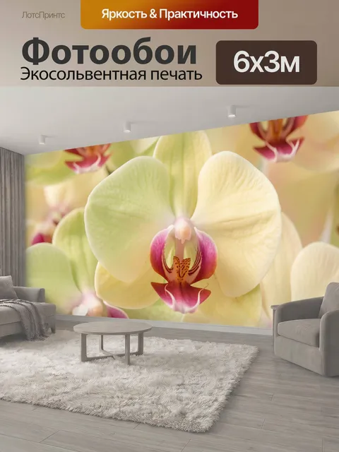 600 × 300 см · Экосольвентная печать