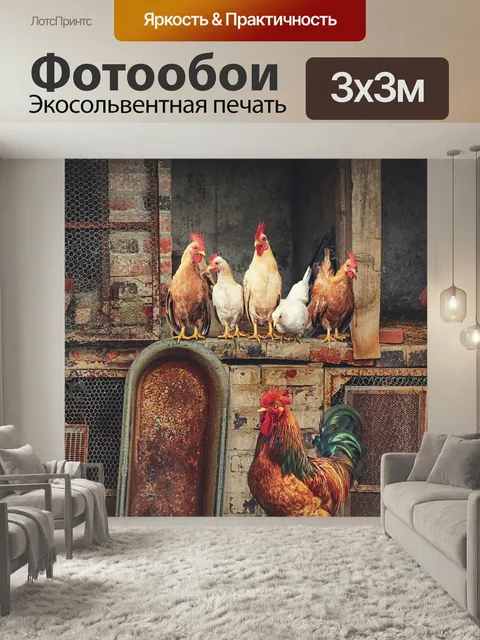 Фотообои Петухи, куры, курятник