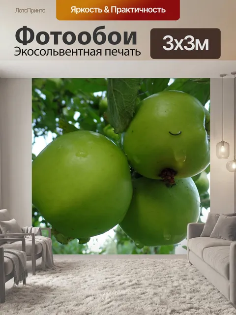 Фотообои Яблоко, яблоня, зеленый