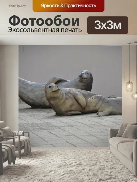 Фотообои Авторитет, тюлень, животное