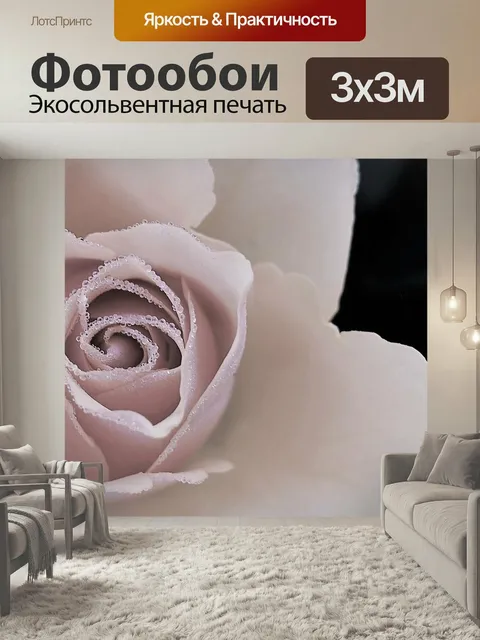 Фотообои Розы, цветок, растения