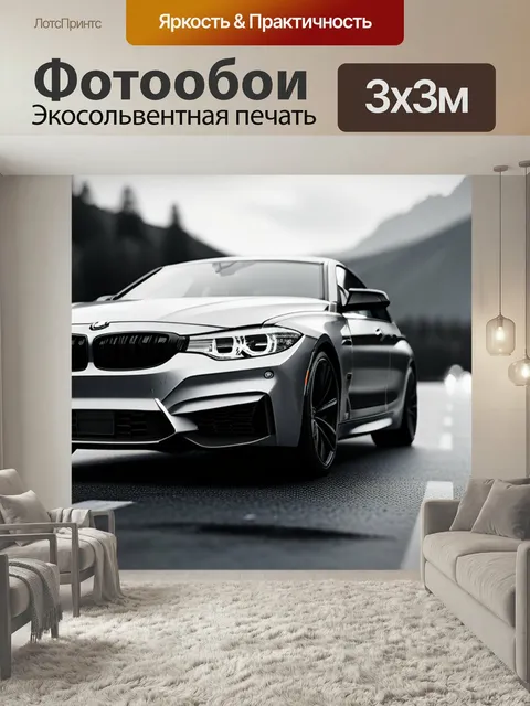 Фотообои Пейзаж с бмв чернобелый