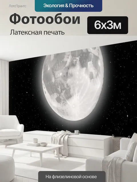 600 × 300 см · Латексная печать