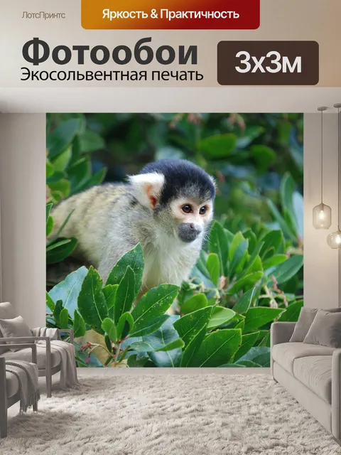 Фотообои Белка обезьяна, саймири, глаза
