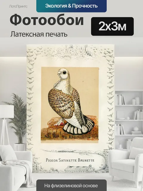 200 × 300 см · Латексная печать