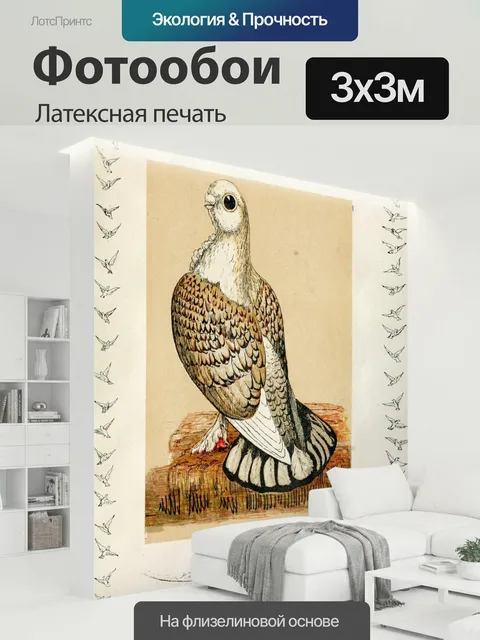 300 × 300 см · Латексная печать