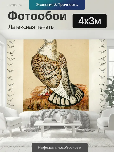 400 × 300 см · Латексная печать