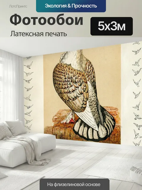 500 × 300 см · Латексная печать