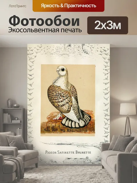 200 × 300 см · Экосольвентная печать