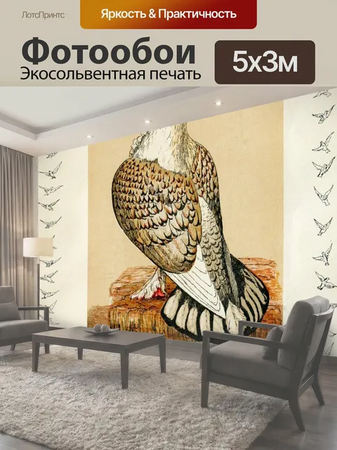 Фотообои Голубь птица винтаж старый Голубь-перевозчик
