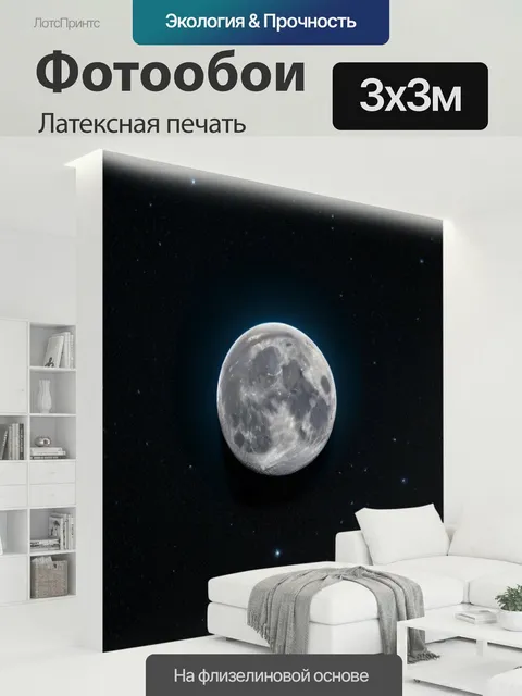 300 × 300 см · Латексная печать