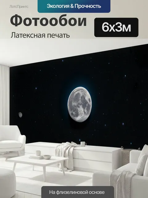 600 × 300 см · Латексная печать