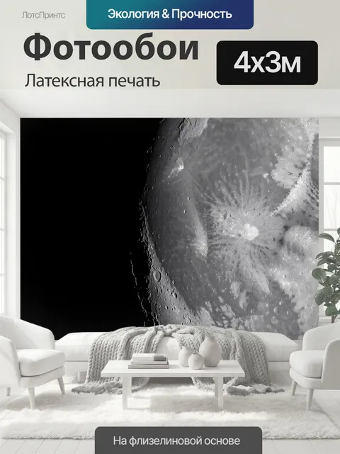 400 × 300 см · Латексная печать