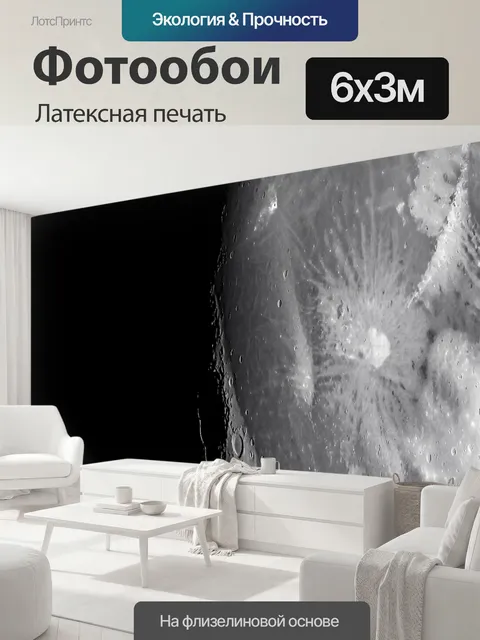 600 × 300 см · Латексная печать