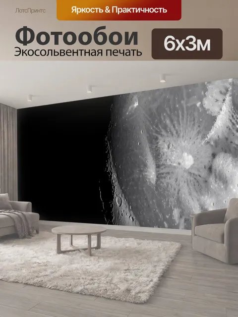 600 × 300 см · Экосольвентная печать