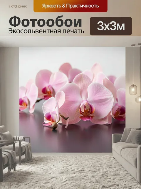 Фотообои Розовые орхидеи на темном фоне