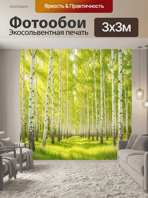Фотообои Берёзовая роща в солнечный день