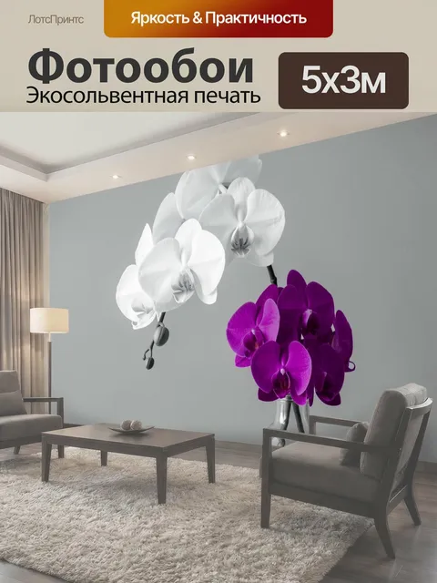 Фотообои Белые и фиолетовые орхидеи
