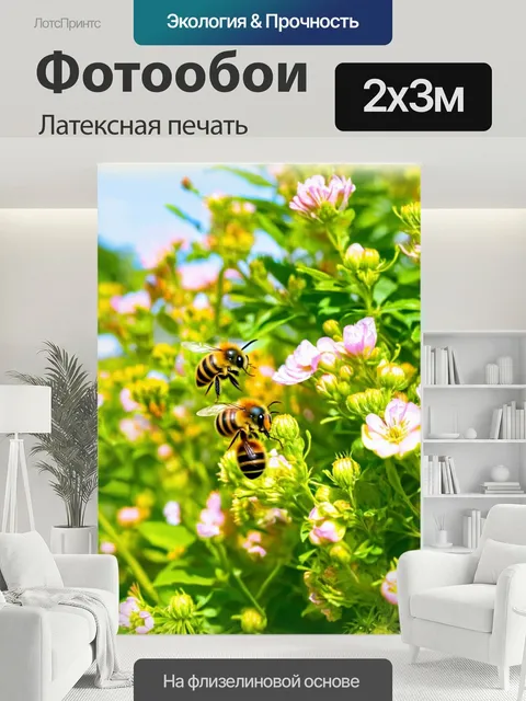 200 × 300 см · Латексная печать
