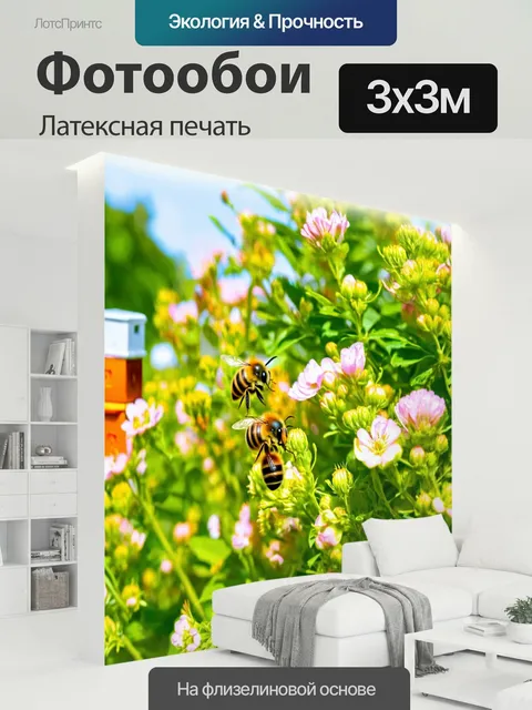 300 × 300 см · Латексная печать