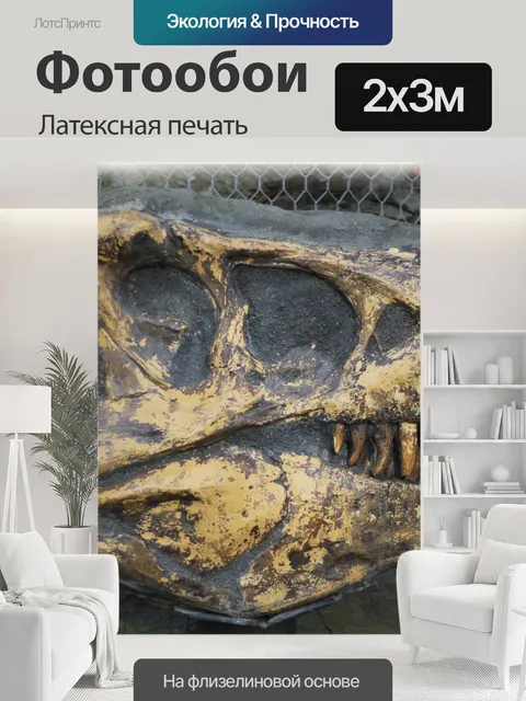 200 × 300 см · Латексная печать