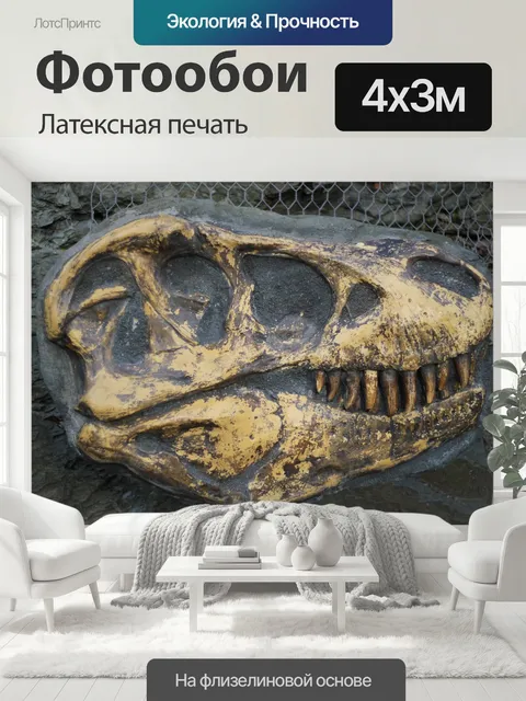 400 × 300 см · Латексная печать