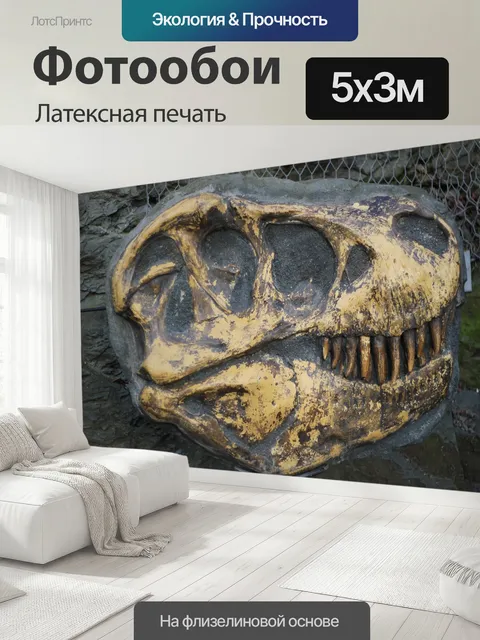 500 × 300 см · Латексная печать
