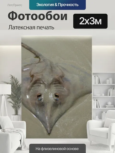 200 × 300 см · Латексная печать