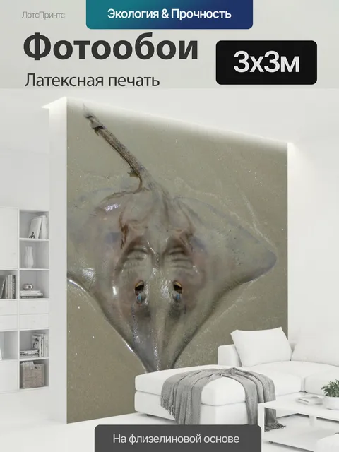 300 × 300 см · Латексная печать
