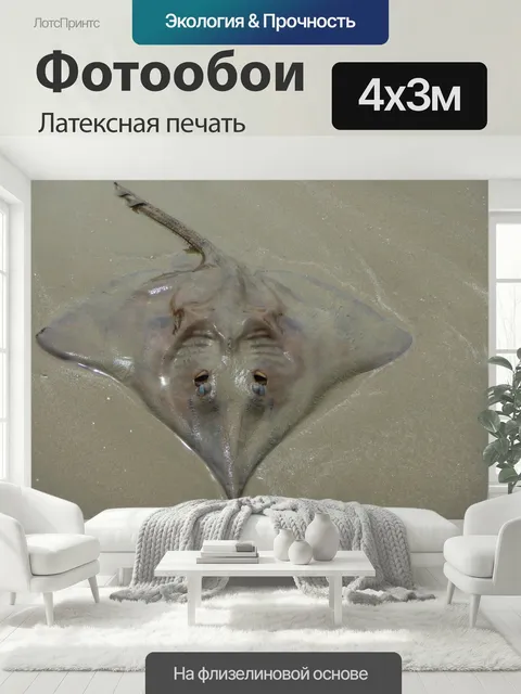 400 × 300 см · Латексная печать