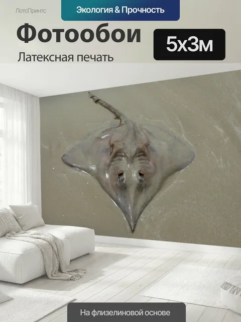500 × 300 см · Латексная печать
