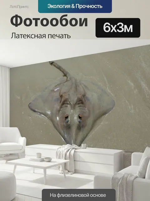 600 × 300 см · Латексная печать