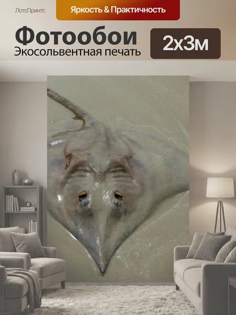 200 × 300 см · Экосольвентная печать