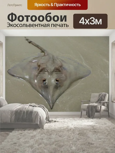 400 × 300 см · Экосольвентная печать