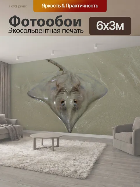 600 × 300 см · Экосольвентная печать